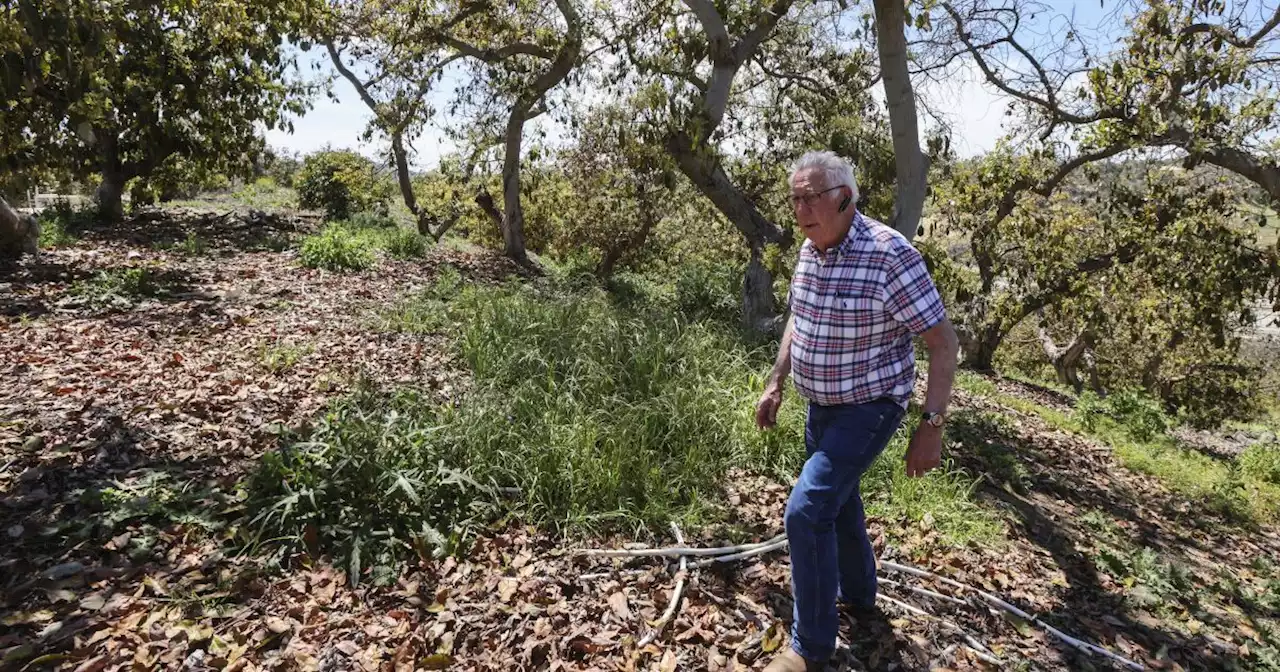 Fallbrook, Rainbow would save on water bills by leaving San Diego wholesaler, report finds