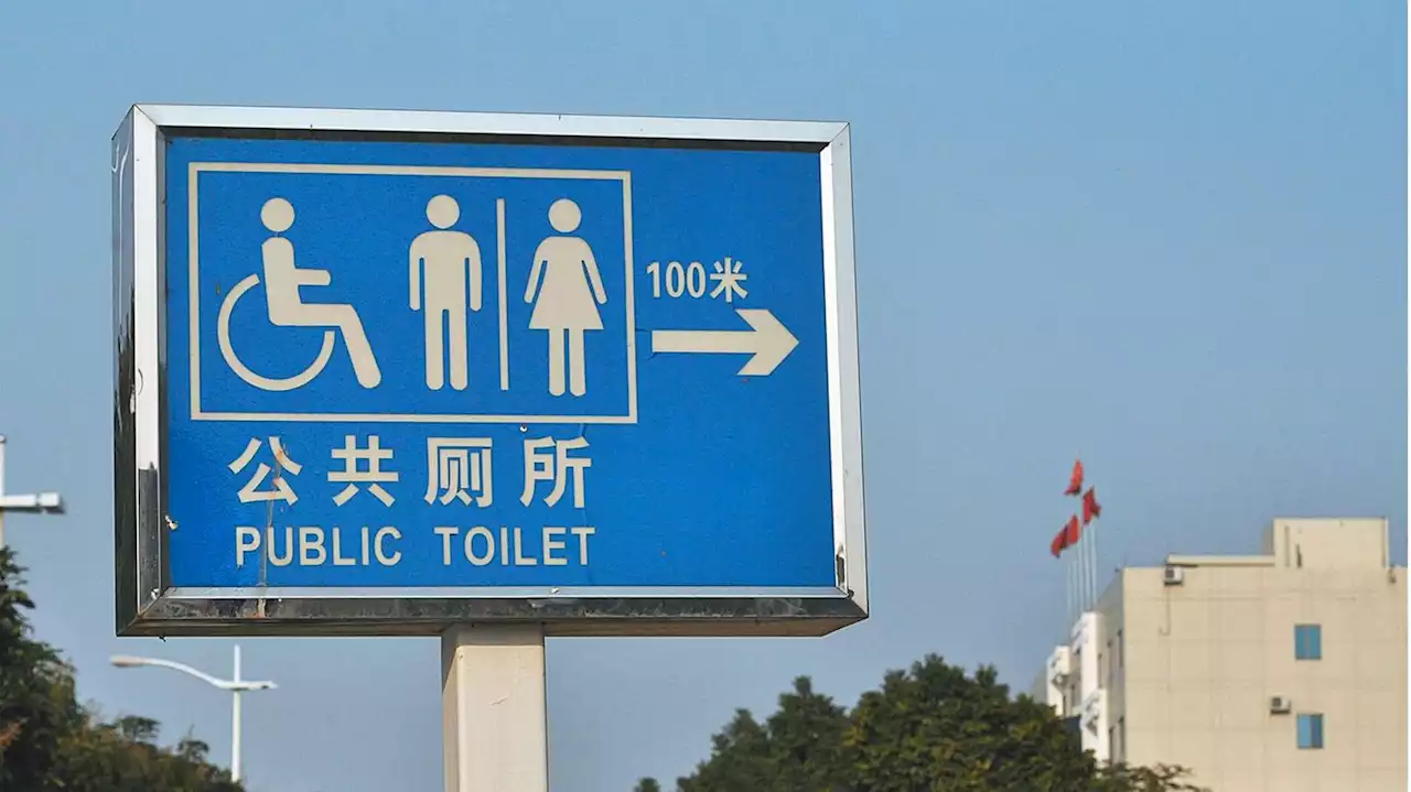 Chinas neue Toilettenrevolution