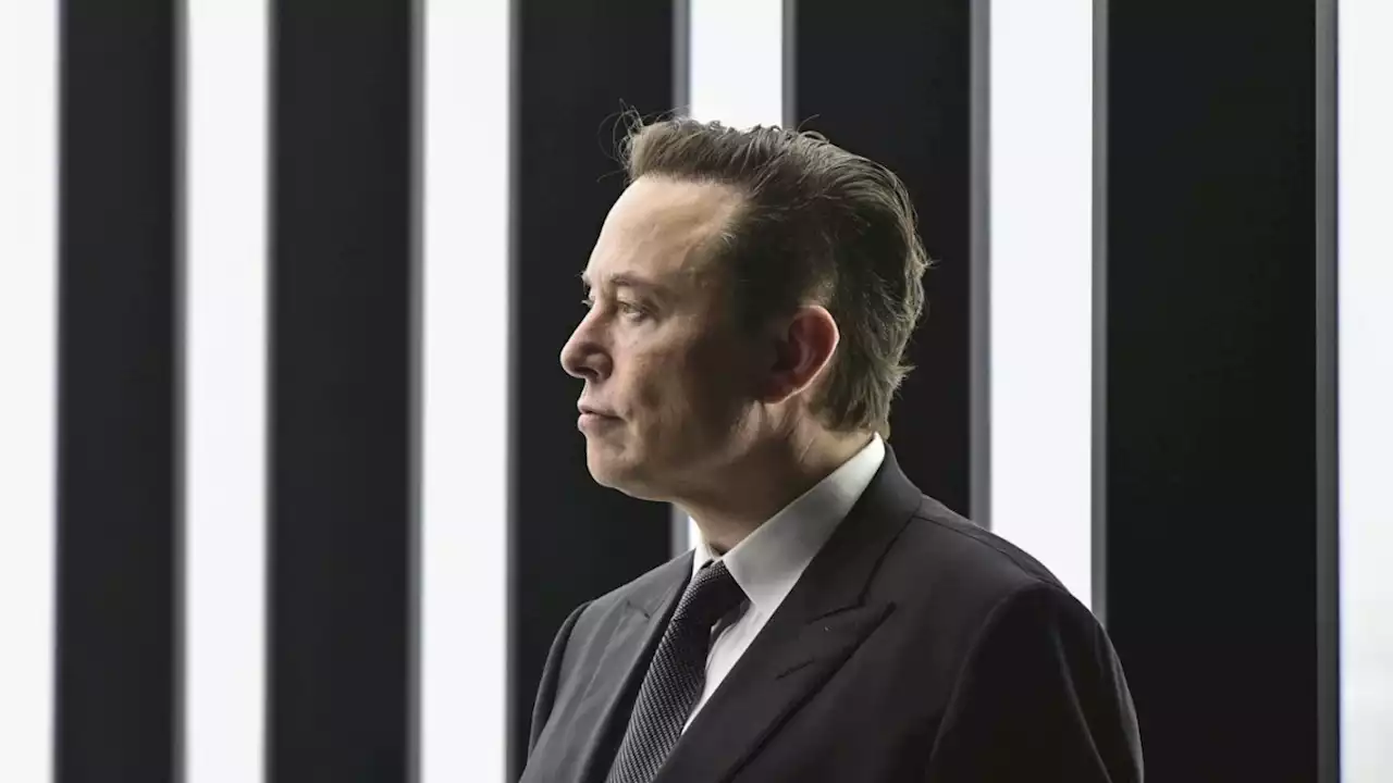 Twitter unter Musk: „Böse Akteure haben ein neues Werkzeug“