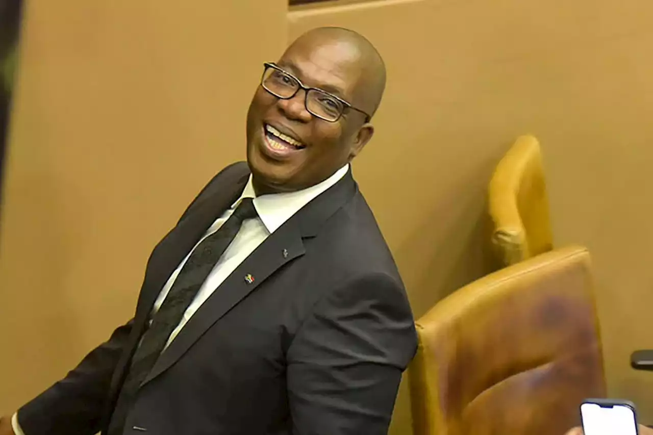 Lesufi's festive season: Drones above and trackers in all cars, guns | The Citizen