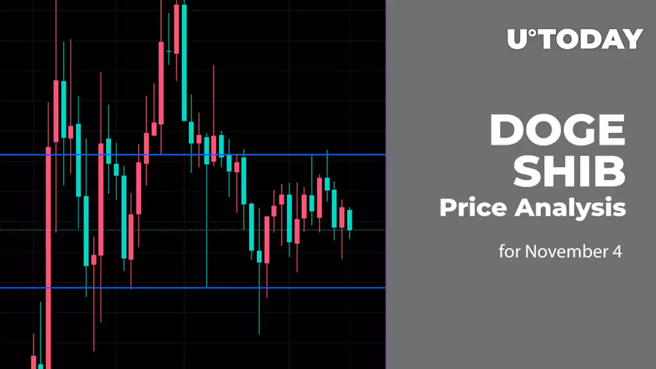 DOGE and SHIB Price Analysis for November 4