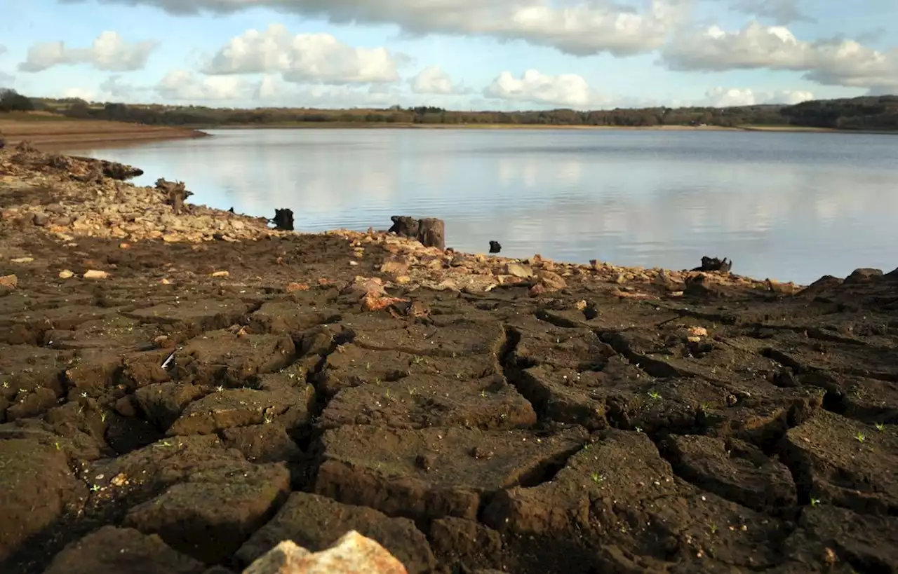 Le Morbihan, premier département breton à lever ses restrictions d’eau