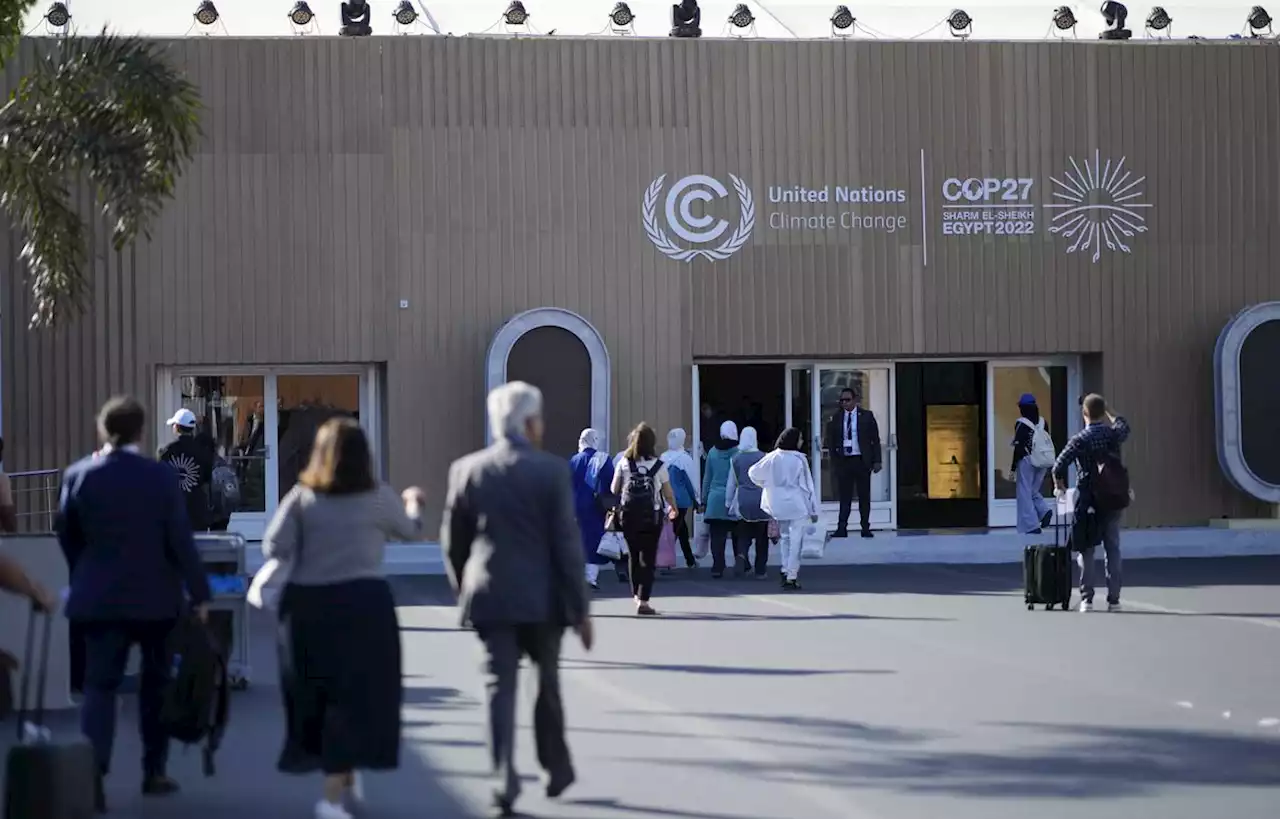 Ouverture de la COP27 en Egypte