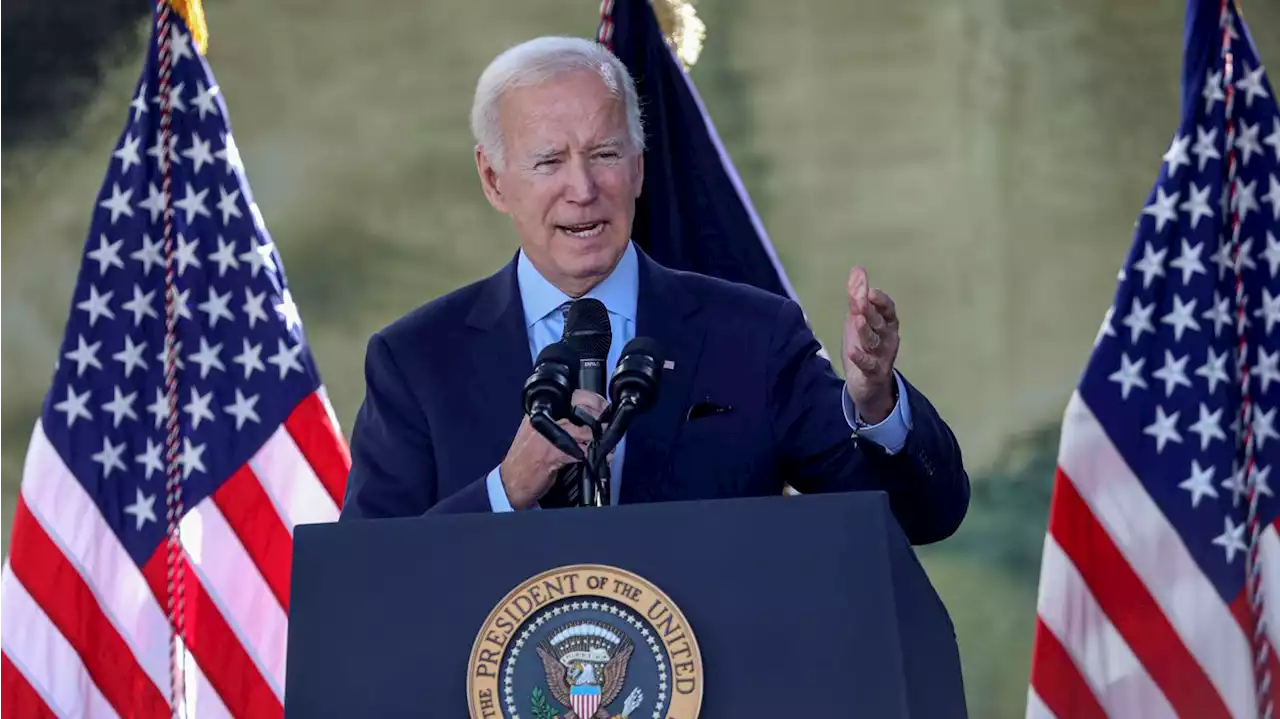 Biden says Twitter 'spews lies' as company undergoes massive layoffs under Elon Musk