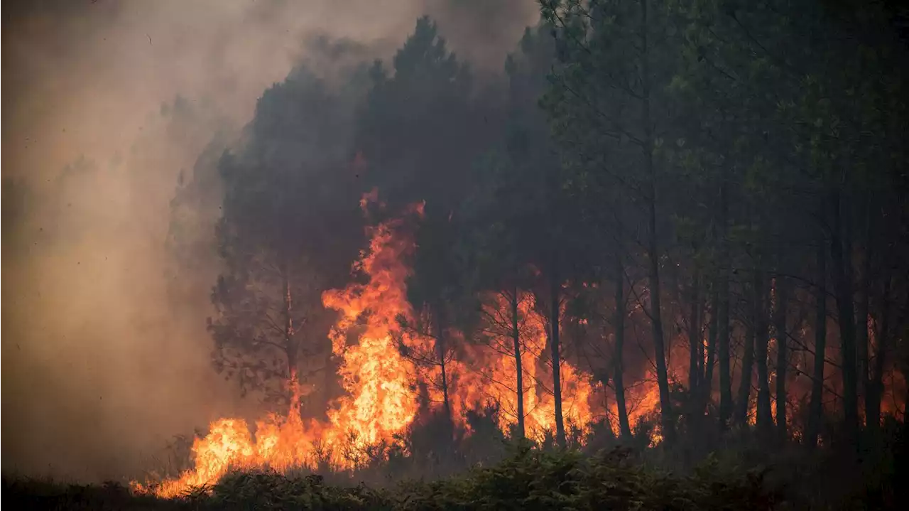 Europe is warming faster than any other continent, UN finds