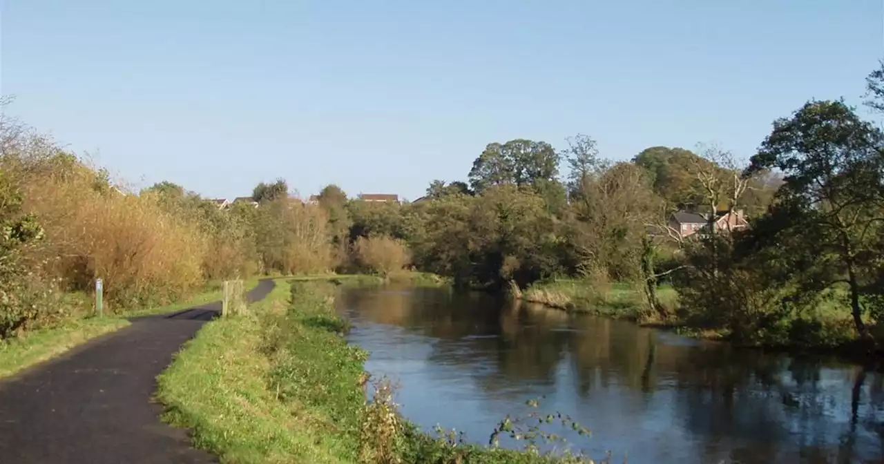 Belfast Council seeking to bring mysterious unadopted bridge to public ownership