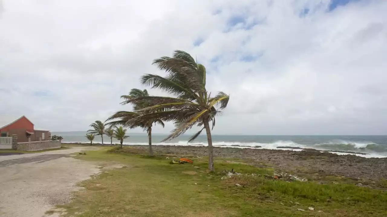 Guadeloupe: des fortes intempéries et des inondations ravivent le souvenir de la tempête Fiona