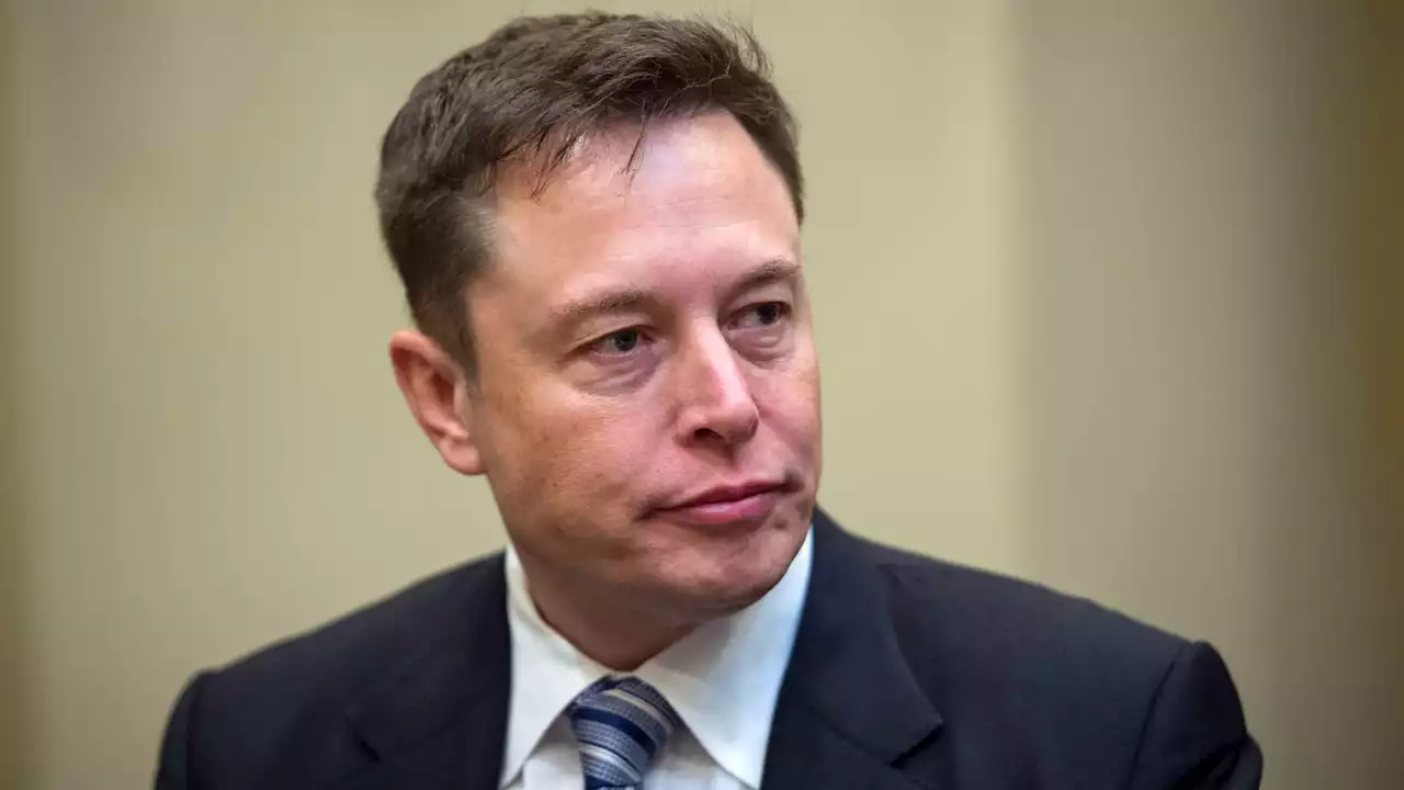 L'ONU presse Elon Musk de faire respecter les droits humains sur Twitter