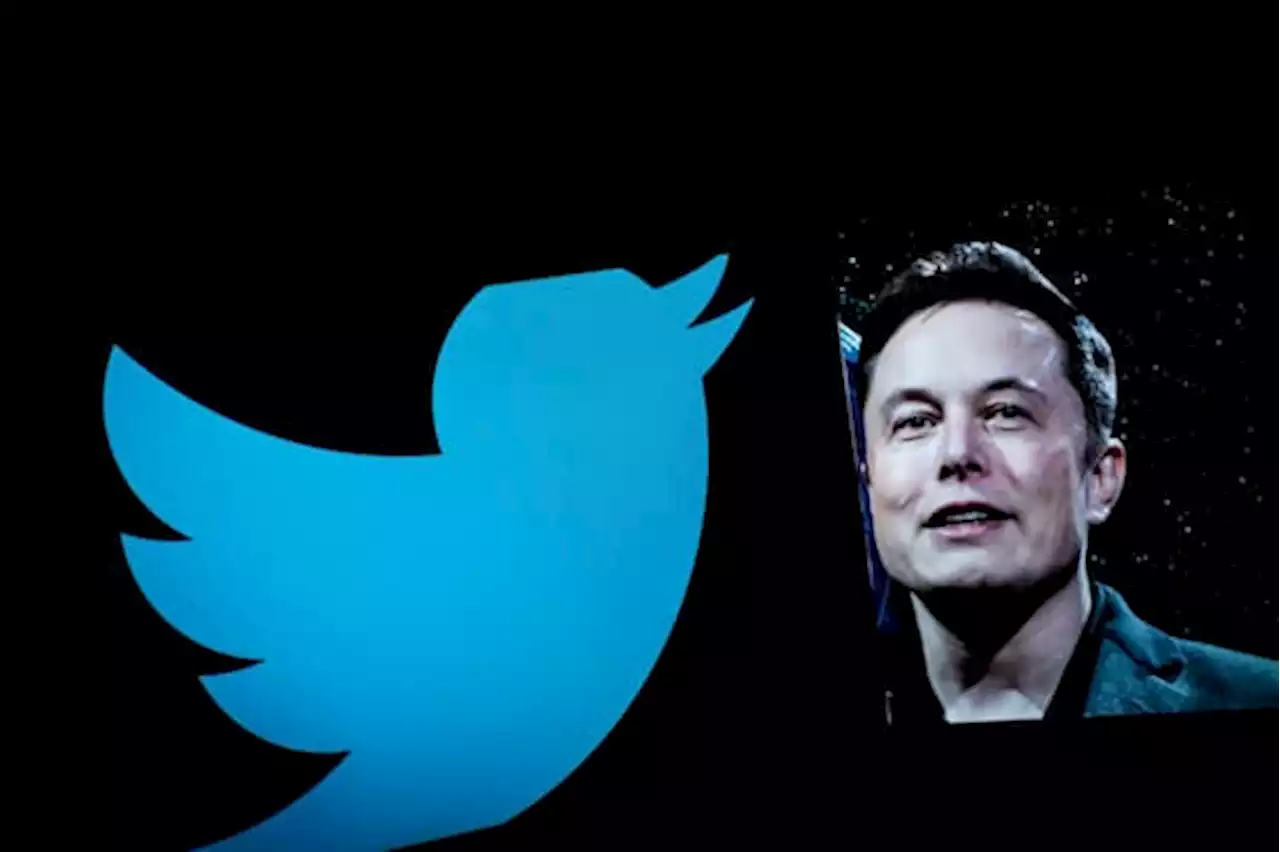 Elon Musk führt bei Twitter Abo-Angebot für verifizierte Konten ein