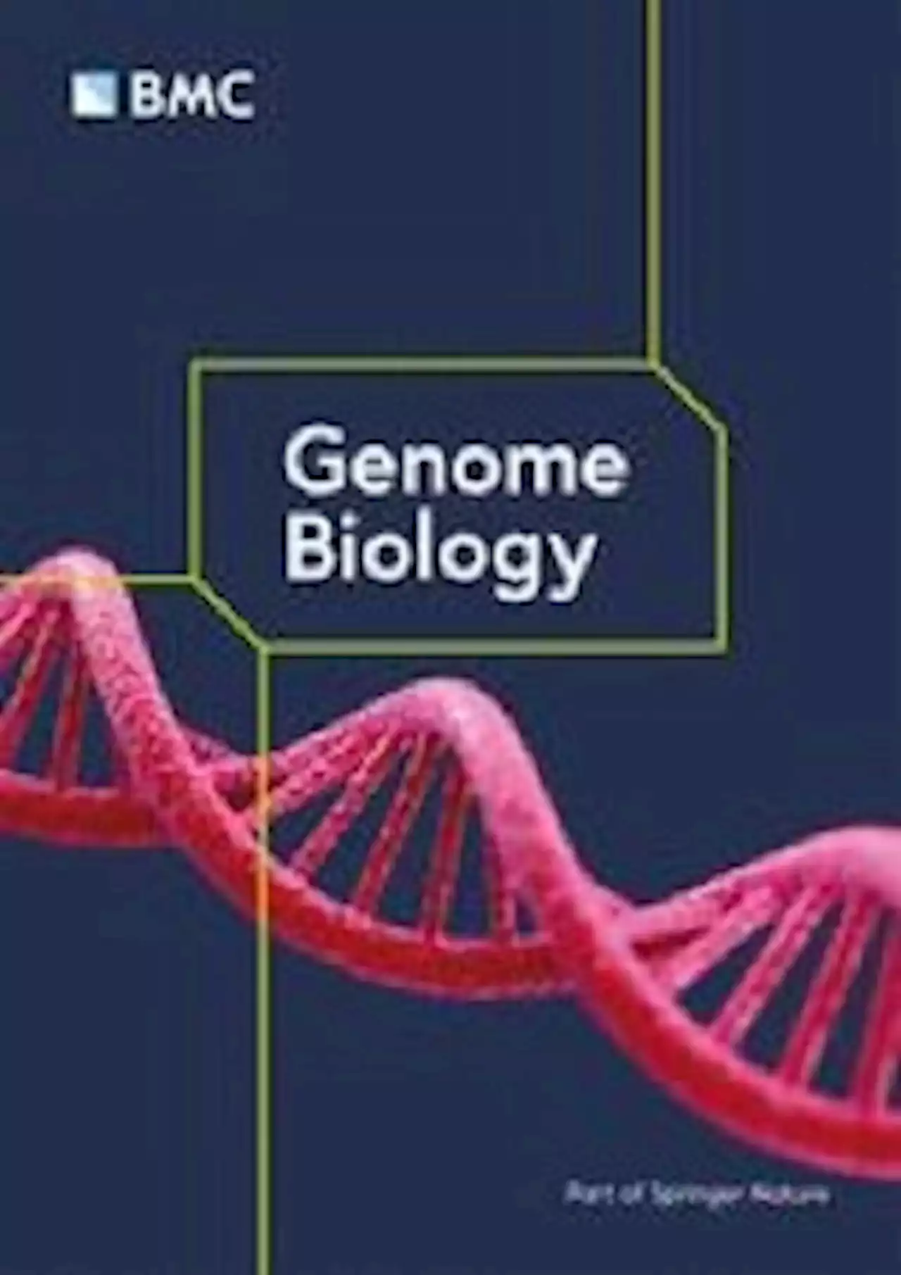 INSERT-seq enables high-resolution mapping of genomically integrated DNA using Nanopore sequencing - Genome Biology