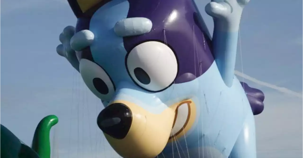 Bluey Rules! Balloon Debuts at 2022 Macy's Thanksgiving Day Parade