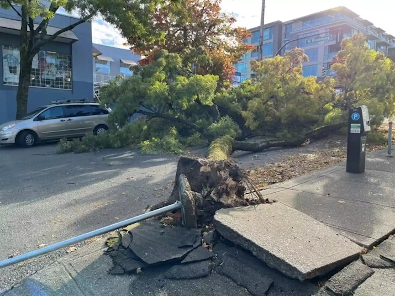 Crews have restored power to 98% of homes on B.C.'s South Coast