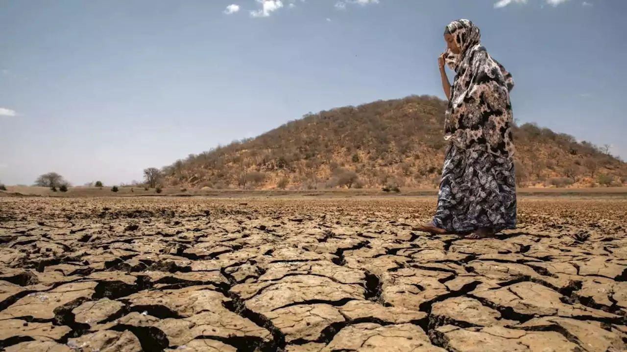 COP 27: ‘Africa is the least responsible for global warming but bears the worst impacts’