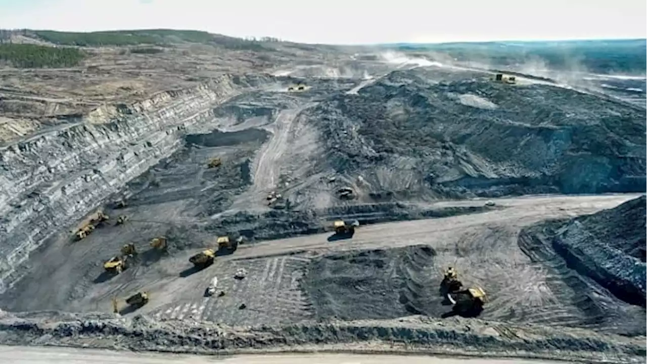 Fight against coal mine expansion to be brought to UN climate change conference | CBC News