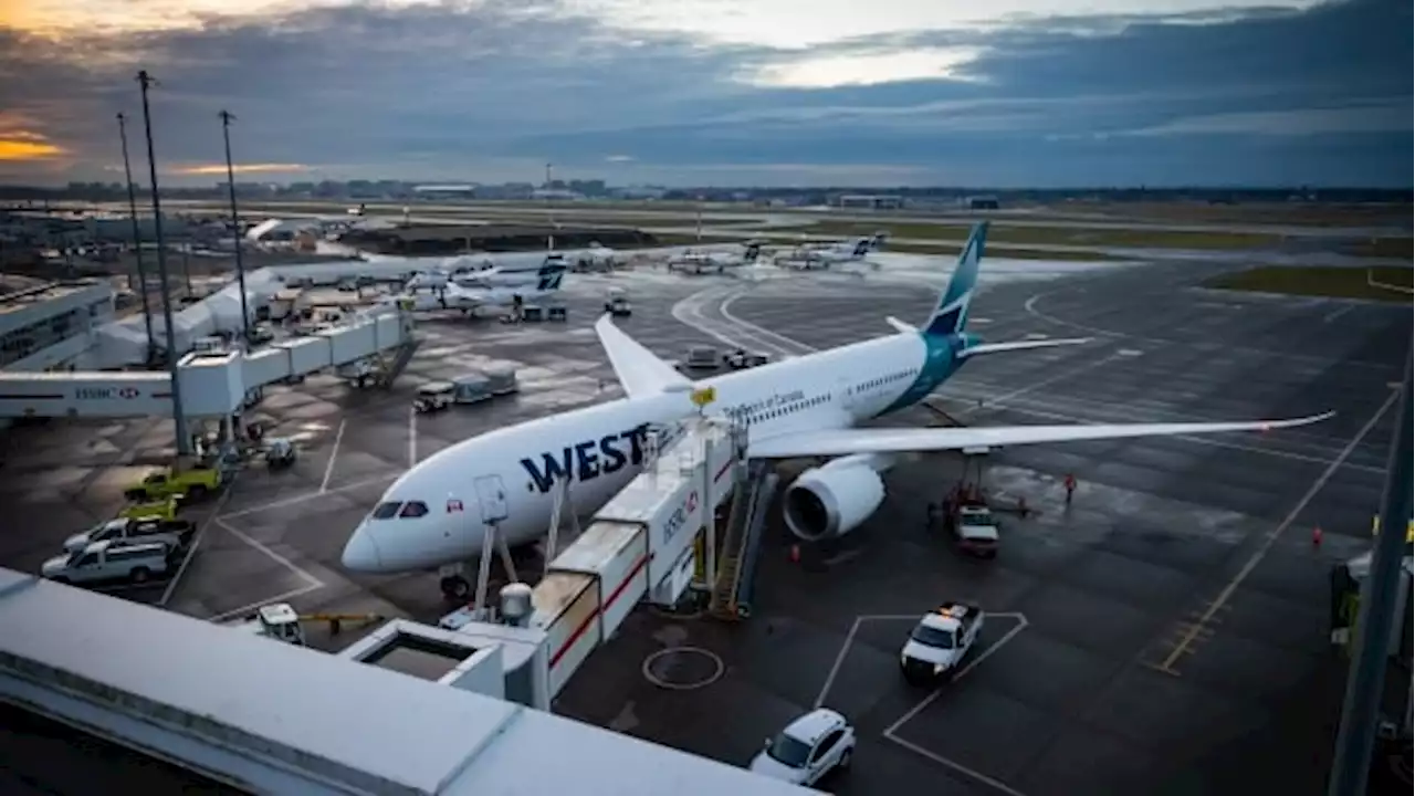 WestJet back online after system outage, but further disruptions expected | CBC News