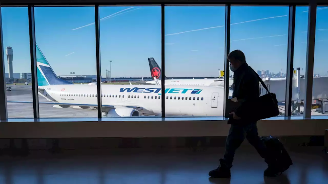 WestJet says it's back online after global outage, but more disruptions expected