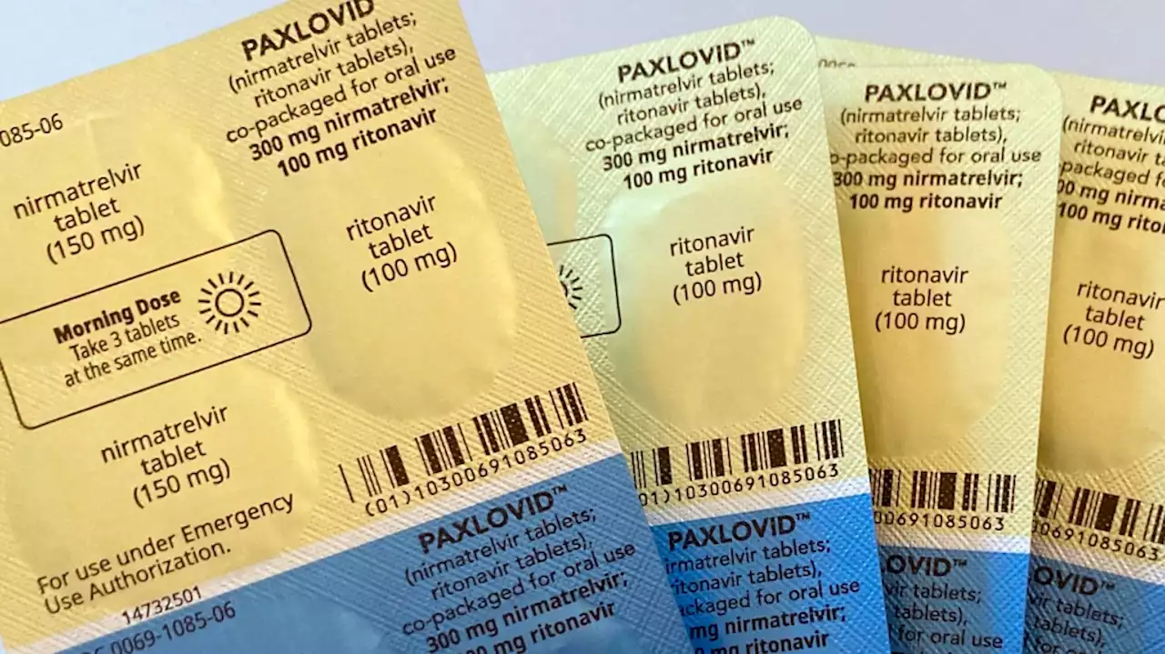 Ontario considering letting pharmacists prescribe Paxlovid for COVID-19: Moore