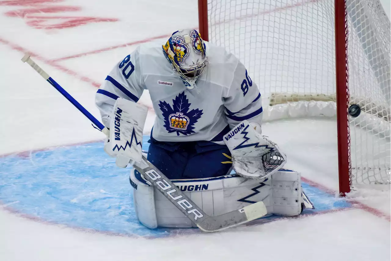 Leafs reportedly sign Keith Petruzzelli after Ilya Samsonov injury - Daily Faceoff