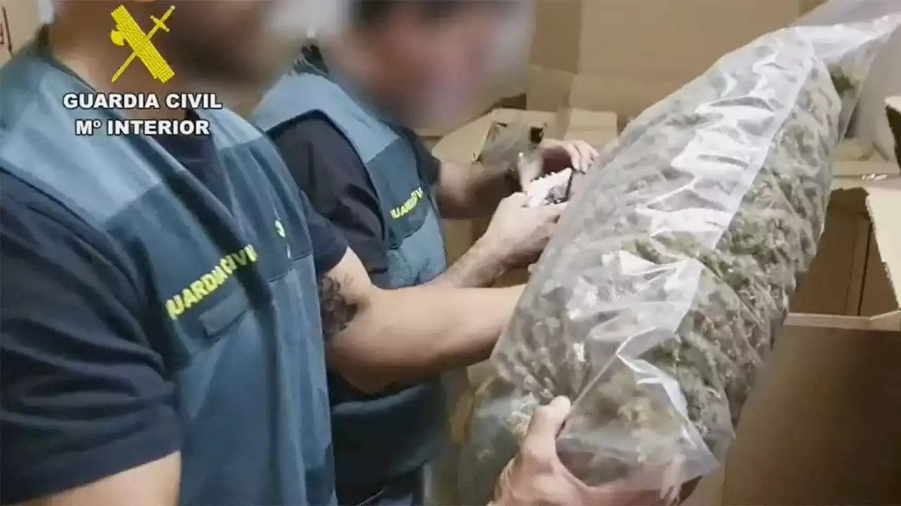 Spanish Civil Guard seizes 'largest stash of marijuana discovered'