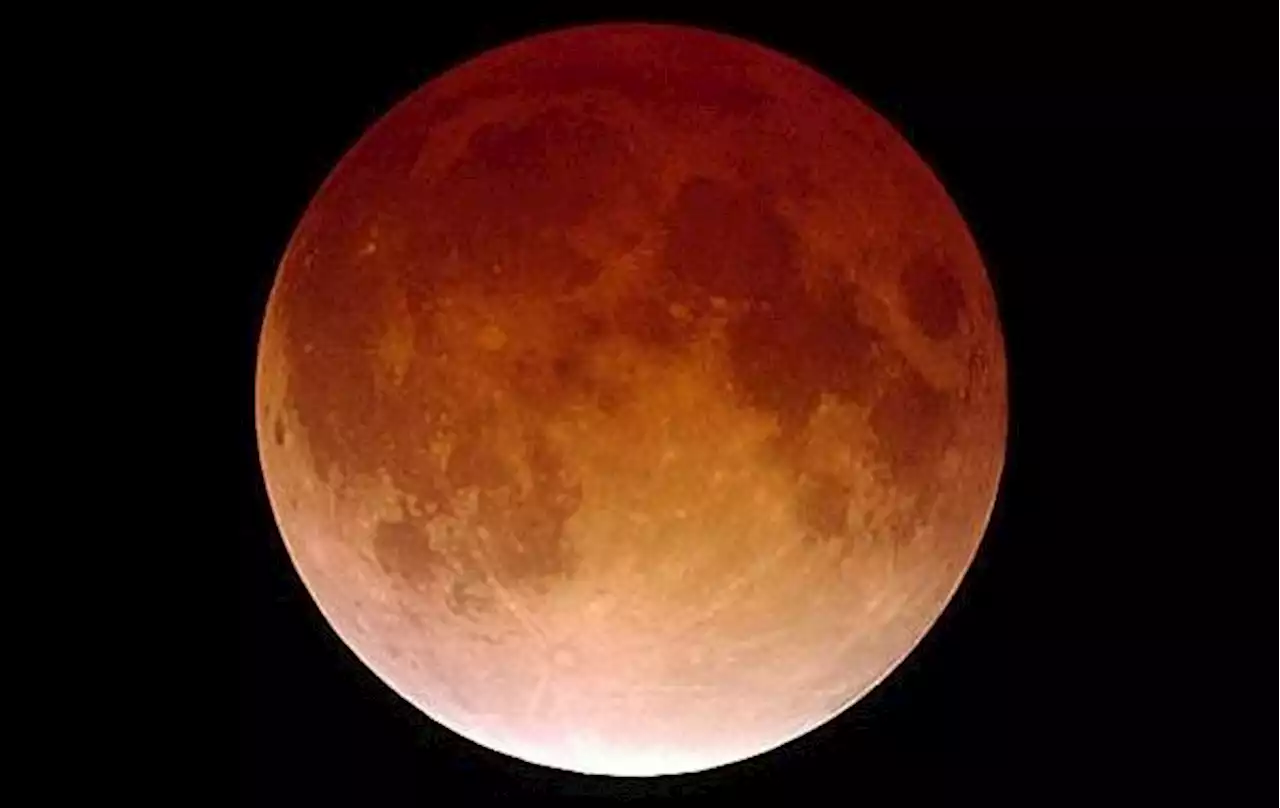 Beaver Blood Moon: 2022’s last lunar eclipse to take place on Nov. 8 | Globalnews.ca