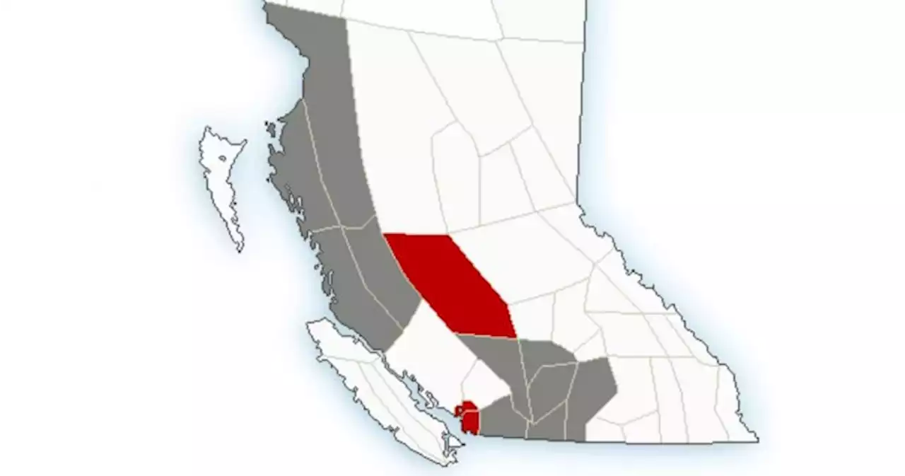 Heavy snow alert issued for B.C.’s Southern Interior | Globalnews.ca