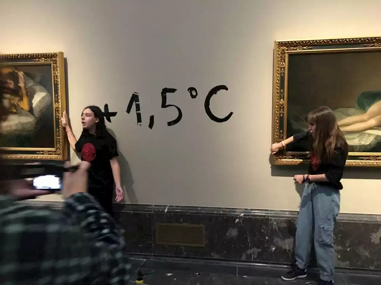 Activists glue themselves to Goya paintings in Spanish climate protest