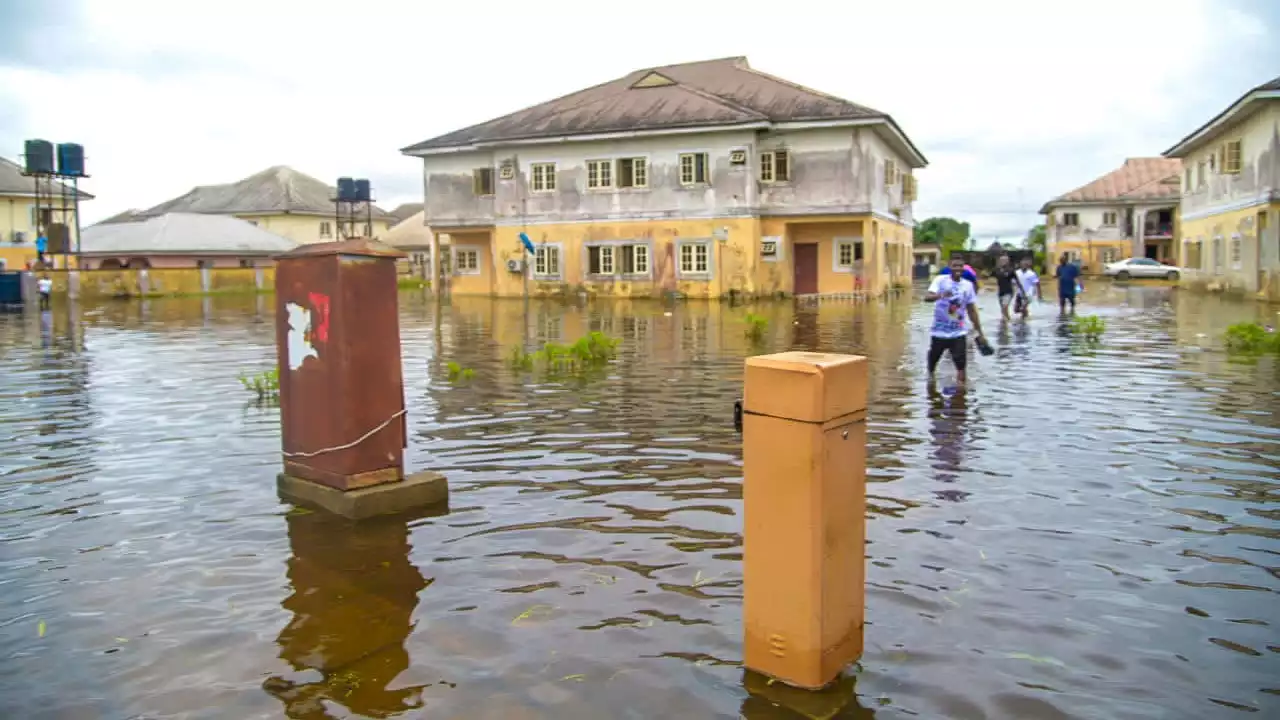 UN: Bayelsa flood a major crisis, deserves attention | The Guardian Nigeria News - Nigeria and World News