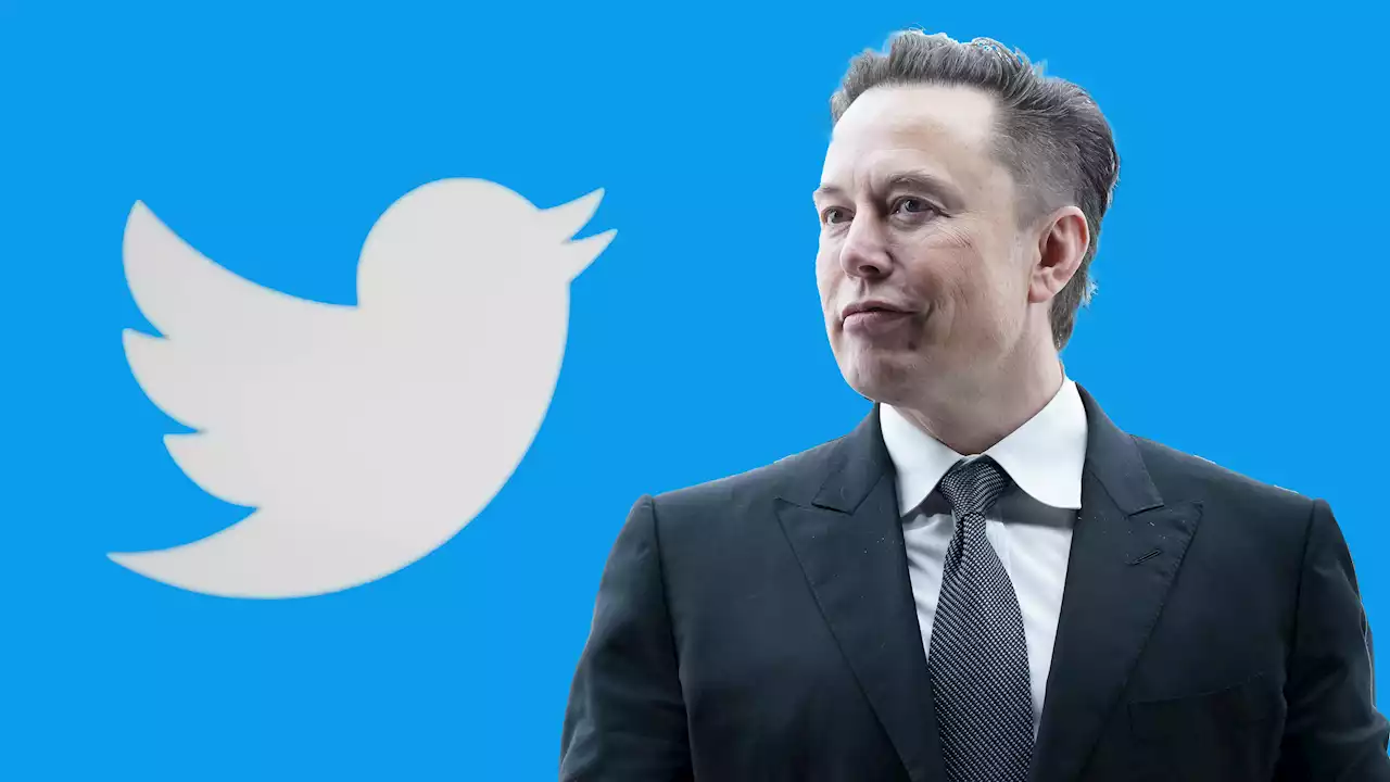 Die große Frage: Ist Elon Musk das größte Risiko und die letzte Chance für Twitter?