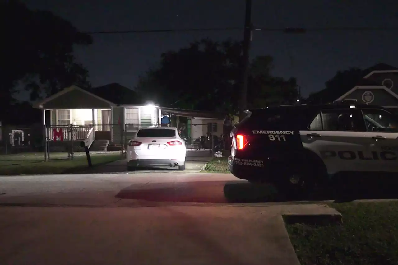 A southeast Houston man survived being shot in the head by possible celebratory gunfire, Houston police say.