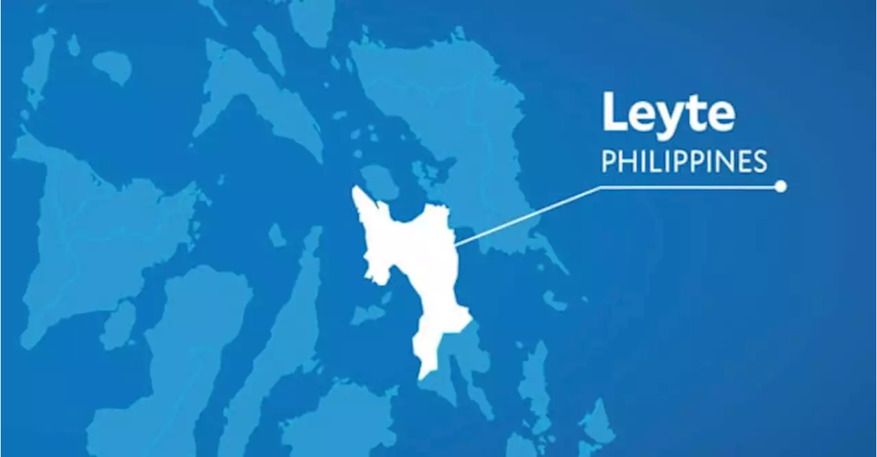 Leyte village chief arrested in drug bust