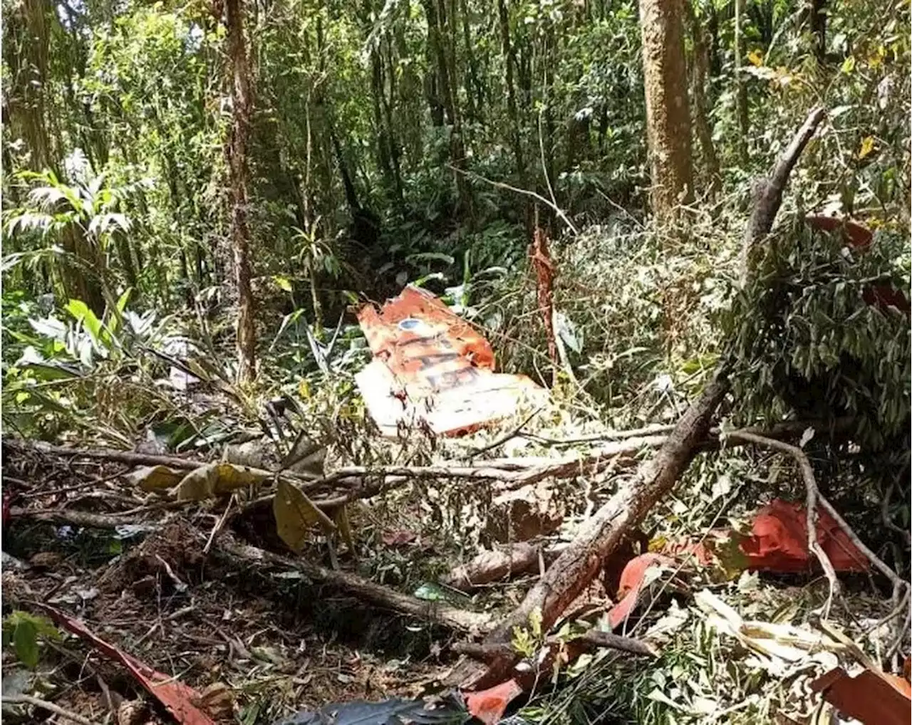 Duas pessoas morrem em queda de avião da FAB em Santa Catarina