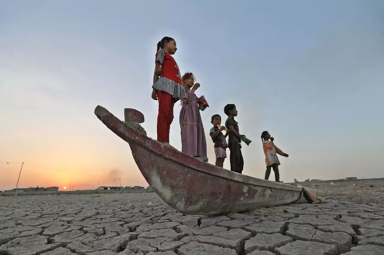 COP27 : les « pertes et dommages » au cœur des discussions