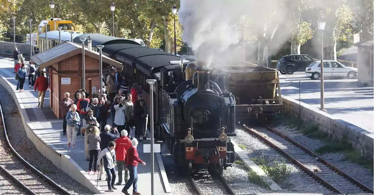 Vidéo : le train des Pignes roule à l'olive pour son dernier voyage de la saison