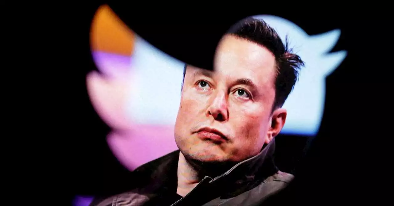 Elon Musk sème le chaos chez Twitter