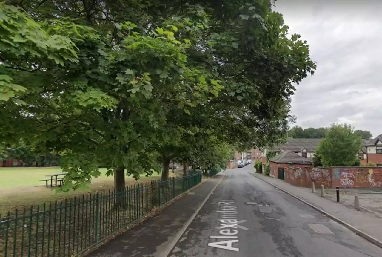 Police confirm arrests after shocking footage appears to show fireworks being thrown at police in Leeds