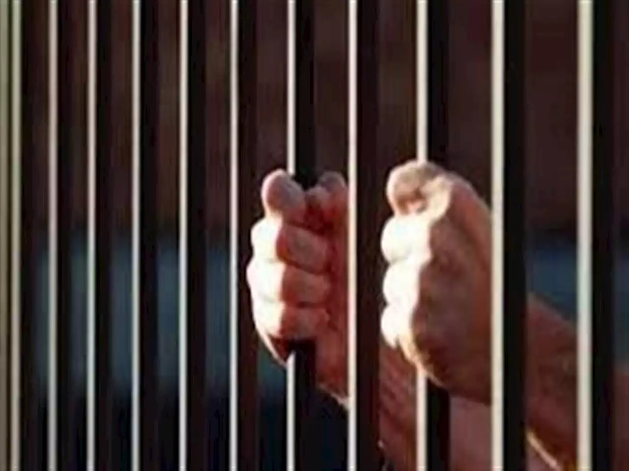 طالبة بالمرحلة الإعدادية.. حجز المتهم بالاعتداء على طفلة داخل مسكنه في المرج