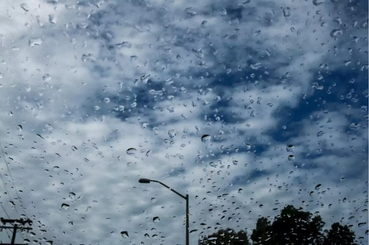 Whiteout conditions possible in the Sierra; widespread rain likely across Bay Area this week