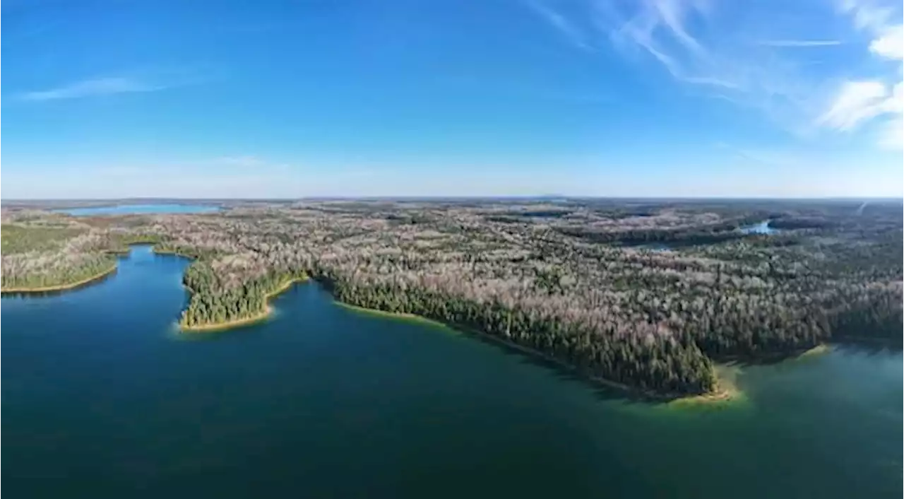 Canadian banks readying for carbon offsets to go big, even as doubts remain | National Newswatch