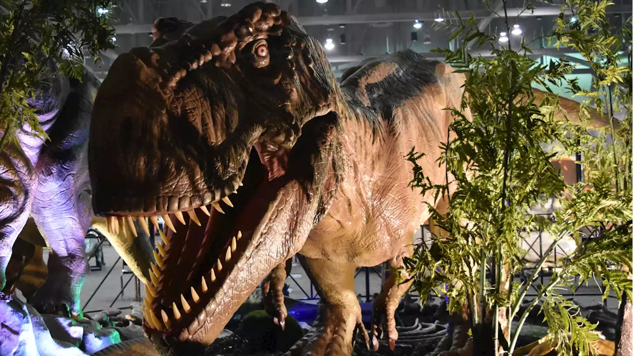 New Year's Eve Just Got Dinosaur-y Thanks to ‘Jurassic Quest'