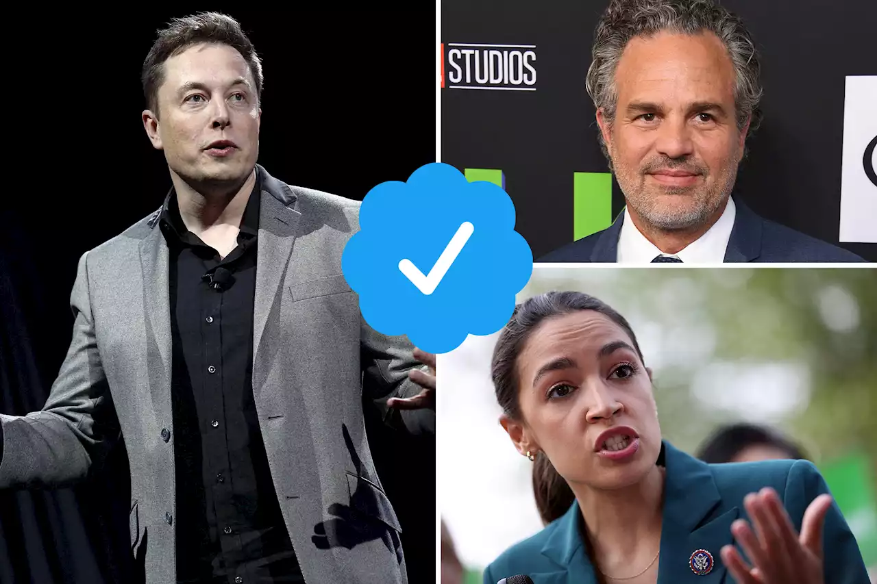 Elon Musk slams Mark Ruffalo: ‘Not everything AOC says is accurate’