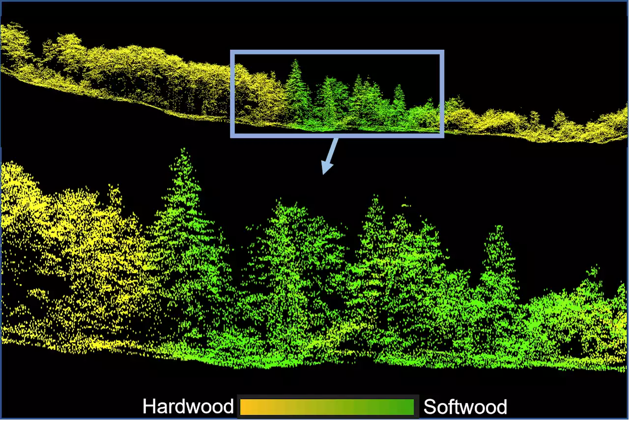 New technology demonstrated on Pictou County woodlot | SaltWire