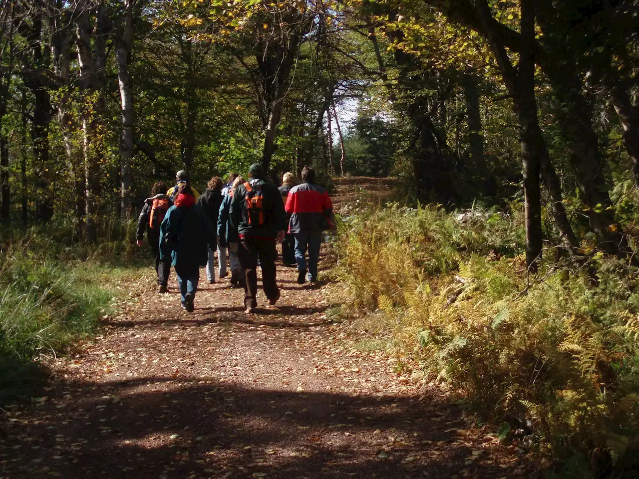 Walk in the Woods: Late autumn is a great time for hiking | SaltWire