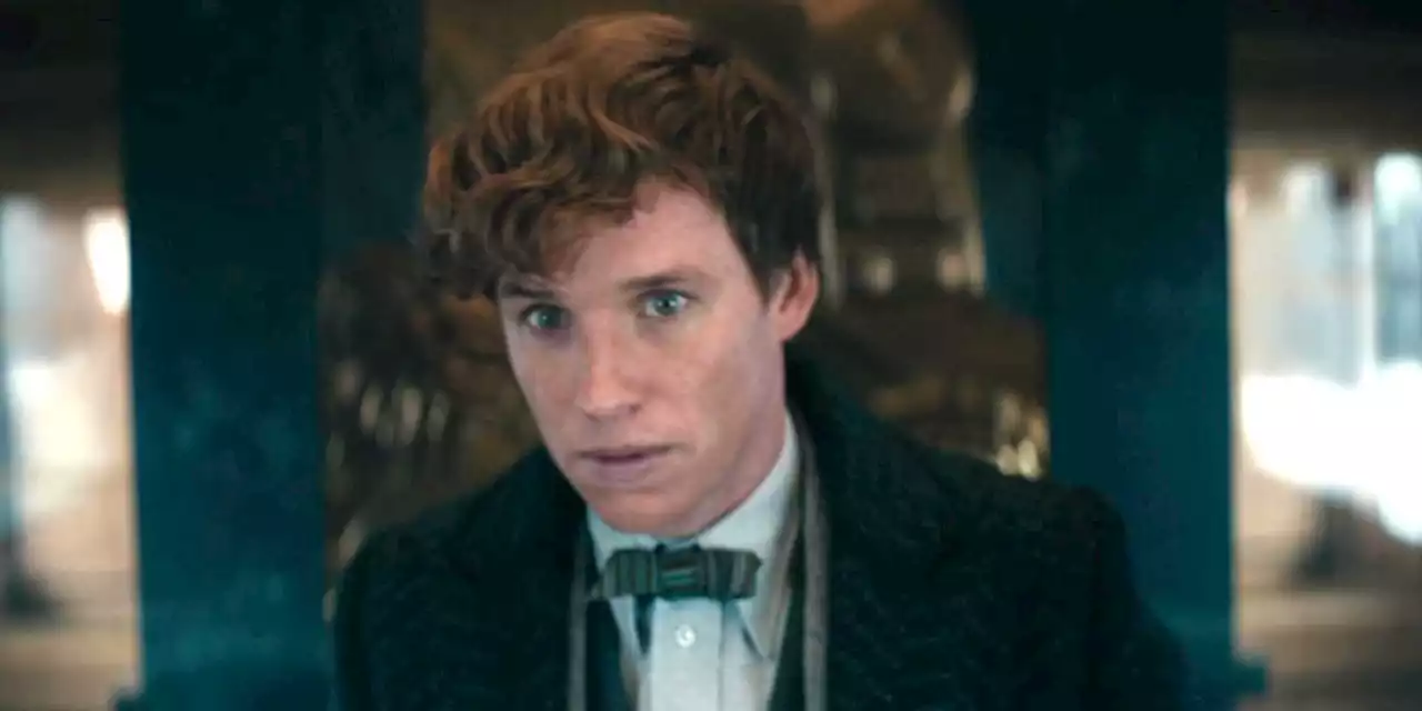 Fantastic Beasts 4 Reportedly Not Currently In Development