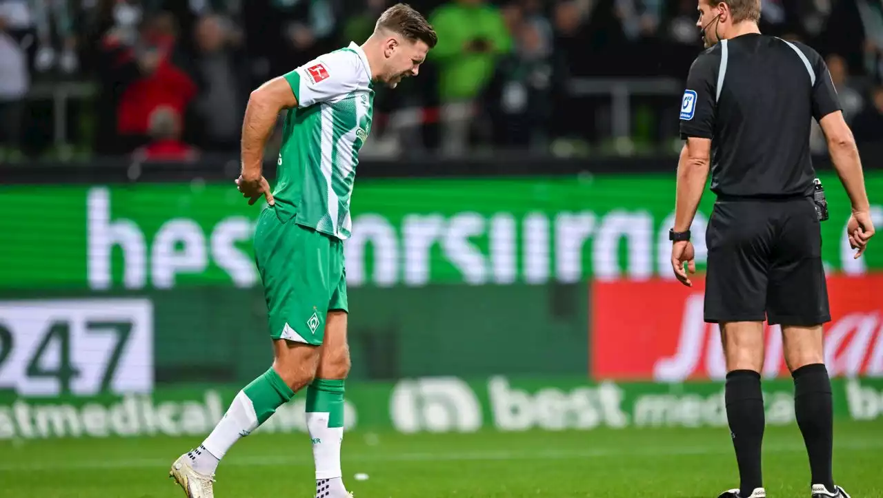 Fußball-Bundesliga: Werder Bremen schlägt Schalke 04, Torschütze Niclas Füllkrug muss verletzt raus