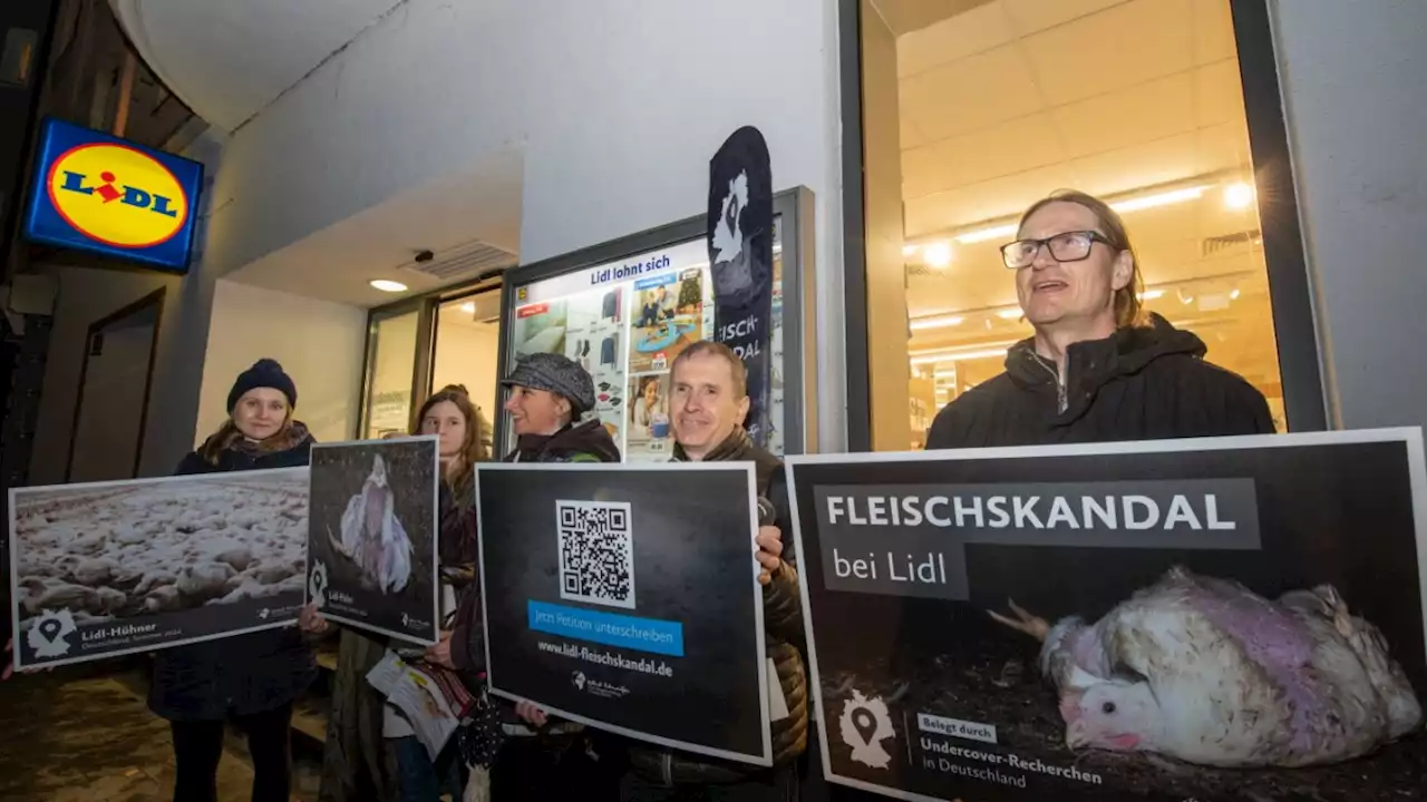 München: Protest vor Lidl - wenn schon Hühnchen, dann ohne Qualzucht