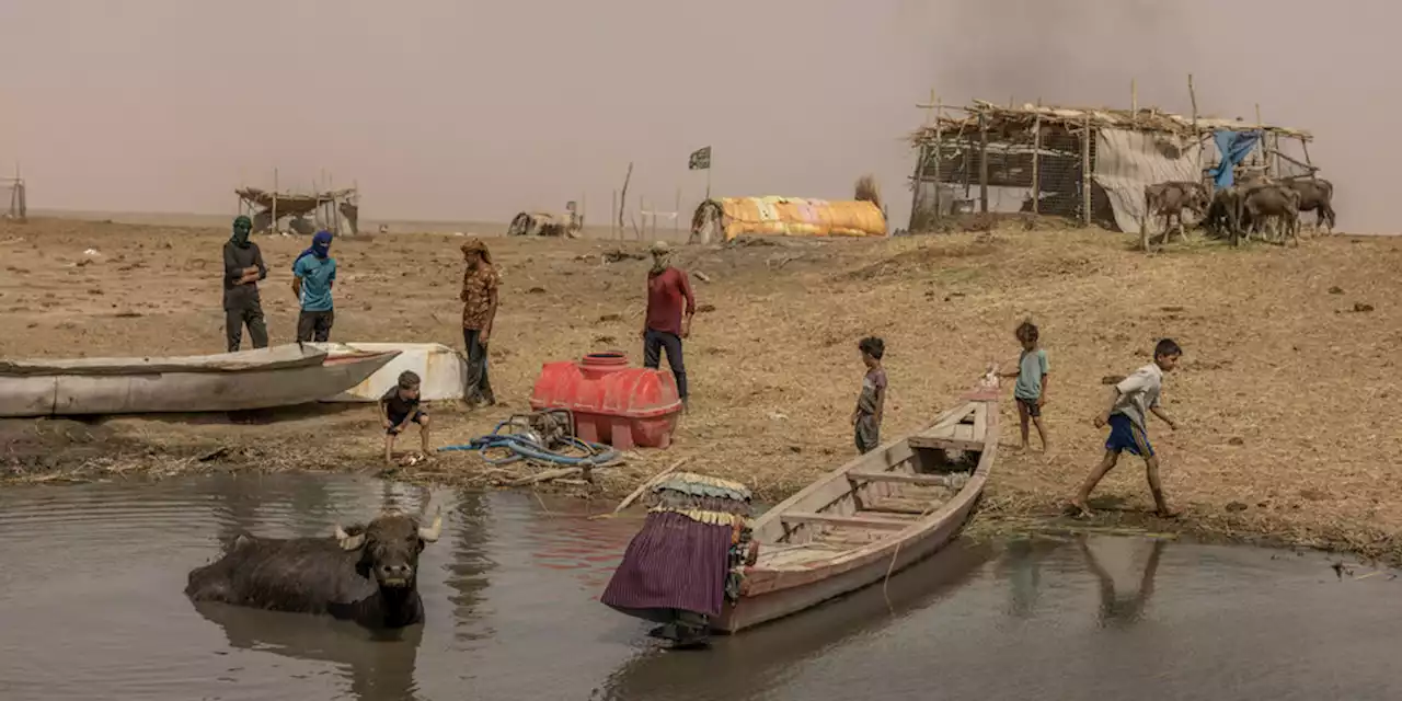 Dürre im Irak: Wasser zu Staub