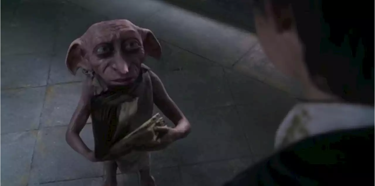 Harry Potter : cet hommage improbable des fans de la saga au personnage de Dobby