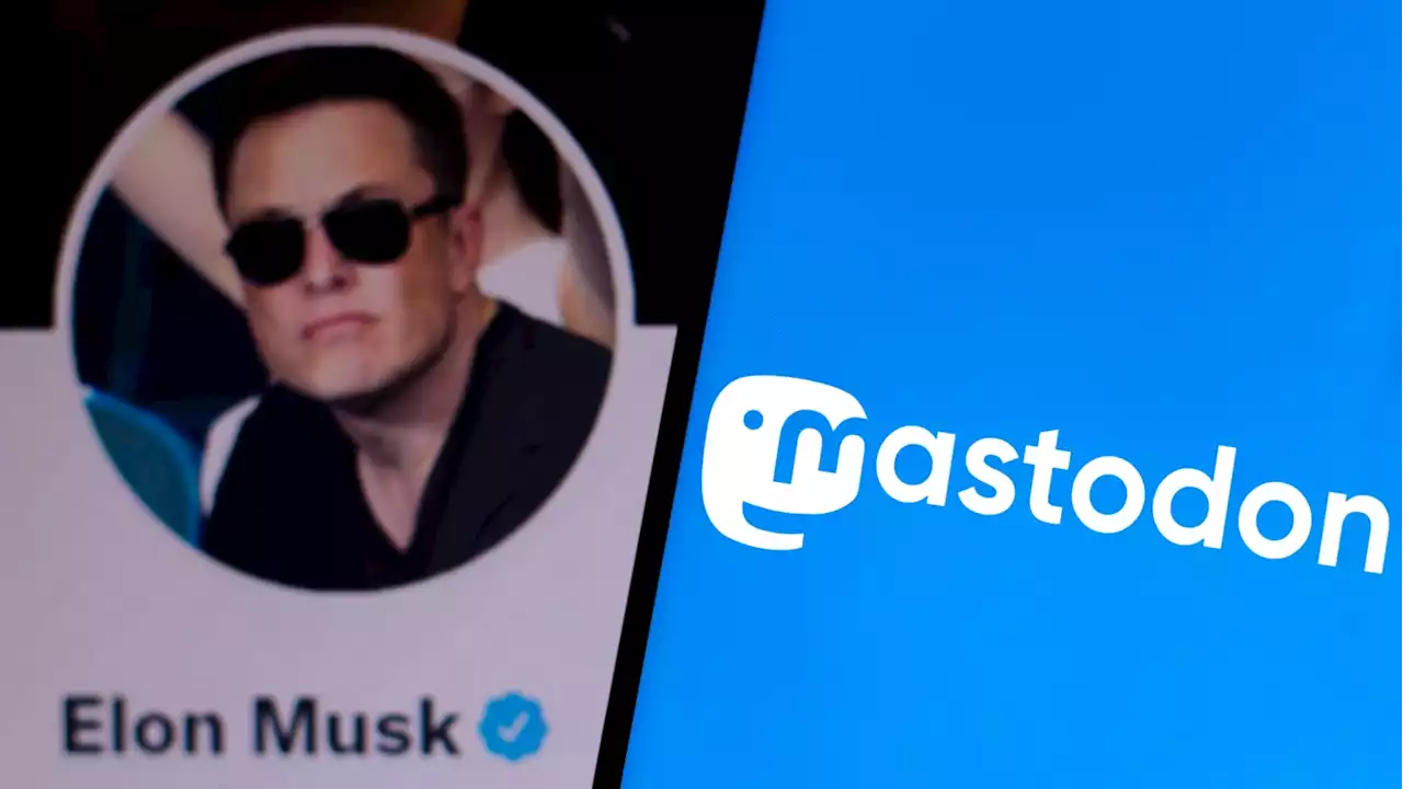 Mastodon Surges in Popularity as Twitter Users Eye the Exits