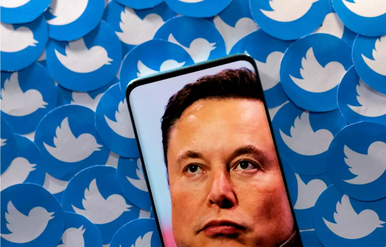 Fears of Twitter chaos as Elon Musk brings in paid-for blue ticks