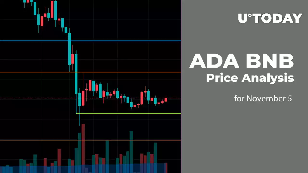 ADA and BNB Price Analysis for November 5